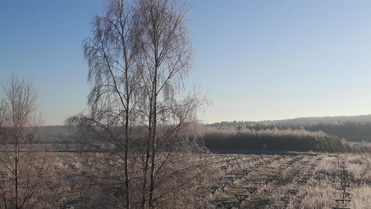 Winnica Debogora Dobiegniew Esterno foto